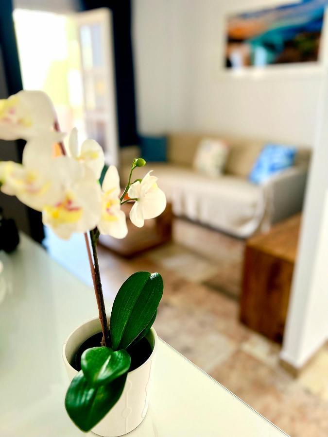 Cosy, New Studio In Costa Adeje Extérieur photo